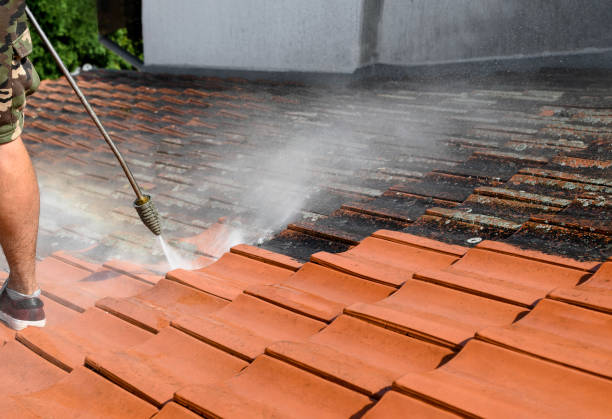 Best Garage Pressure Washing  in Frazer, PA