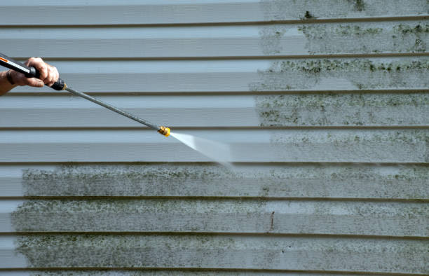 Best Roof Pressure Washing  in Frazer, PA